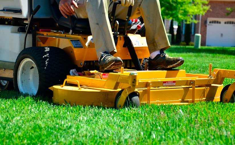 how to start a lawn care business