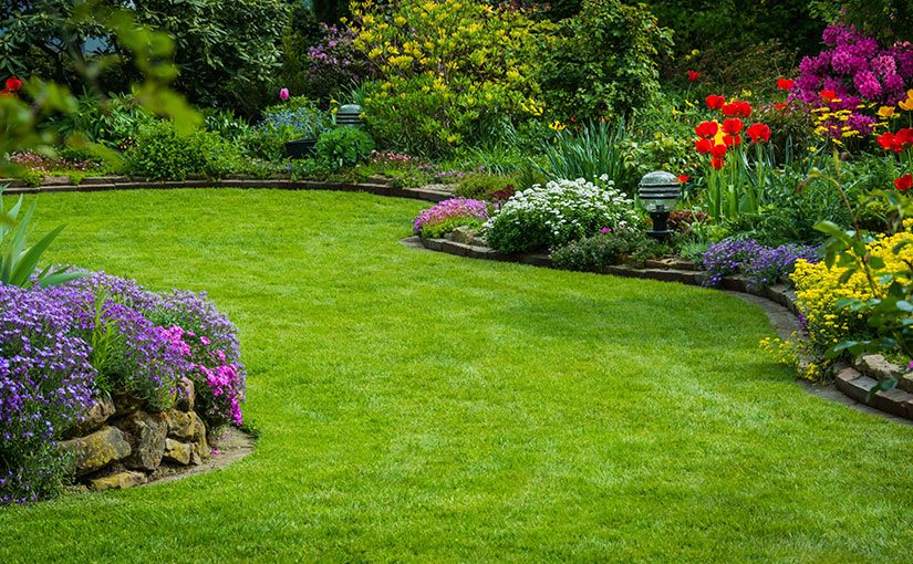 landscaping trends