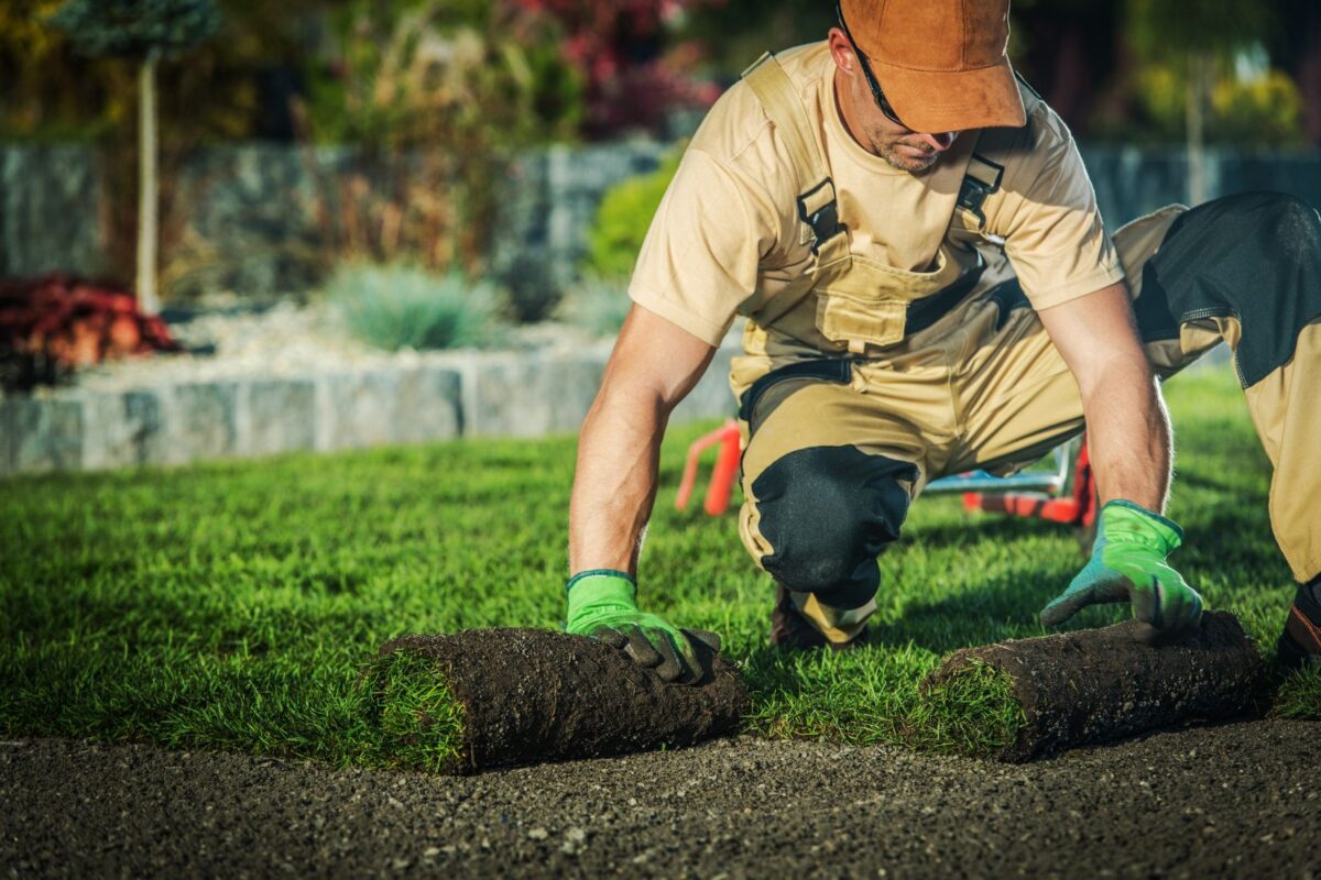 marketing tips for your landscaping company